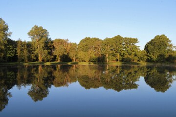 Fototapeta na wymiar Morning lake reflection spring