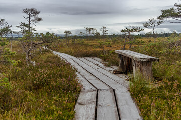 Old, dilapidated bench on a plank-way leading through peat bog in Latvia.