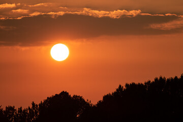 Sunset sky with clouds and trees silhouette
