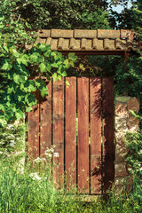 Brown closed wooden gates and a fence overgrown with greens