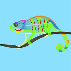  Animals Blend - Chameleon