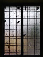 silhouette of a man behind bars