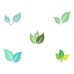 Set Leaf Mint Logo Template