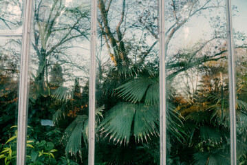 Tropenhaus des Botanischen Gartens in Hamburg
