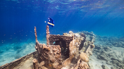 Ship wreck "Tugboat" in  shallow water of coral reef in Caribbean sea with  Curacao Flag, view to surface and sunbeams 
