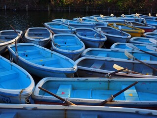 Fototapeta na wymiar row boats with oars 