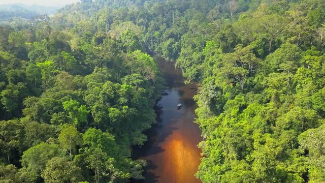 Aerial descending flight over the Tahan River and the Taman Negara tropical rainforest in Malaysia