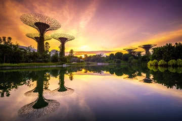 Foto op Plexiglas Singapore Gardens by the bay in the dawn. The sun is rising and shinning down on the city biggest garden © Huntergol