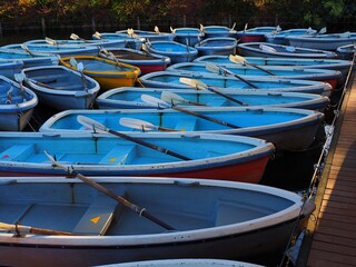 Fototapeta na wymiar row boats with oars on pond