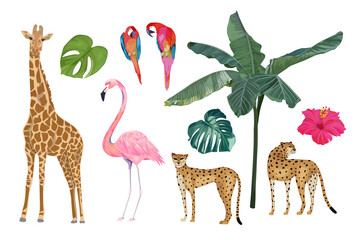 Jungle set  with flamingo, parrot, cheetah, leopard, giraffe and tropical leaves. Vector isolated illustration - obrazy, fototapety, plakaty