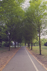 alley in the park