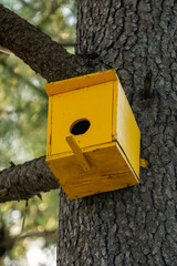Wooden birdhouse on a tree in the park