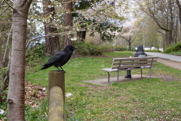 parque