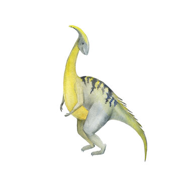 Watercolor painting a dinosaur isolated on white