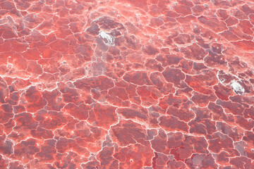Aerial view of the salt pan and mineral crust with red algae of Lake Natron, in the Great Rift Valley, on the border between Kenya and Tanzania. The Rift Valley contains a chain of active volcanoes.