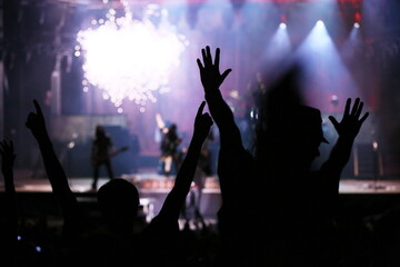 crowd at concert