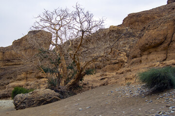 DÉSERT DU NAMIB : SUSSUSVLEI ET DEAD VLEI