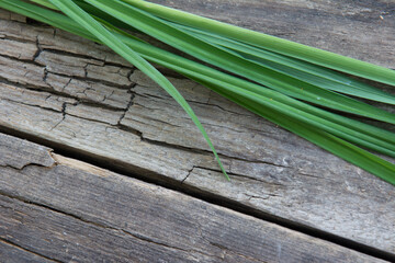 Green grass on a background of old wooden board