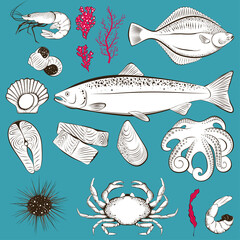Set of hand drawn seafood and fish. Shrimp, fish, scallop, octopus, sea urchin and crab. Vector illustration
