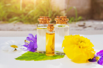 Essential flower oil in small glass bottles and flowers around. The concept of spa, cosmetic oils, aromatherapy.