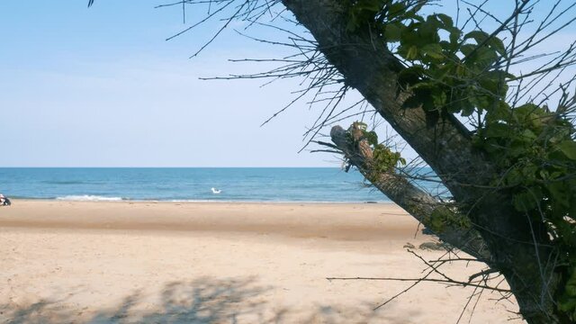 Happy pleasant day at Britas bay Ireland beach 