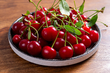 New harvest of red ripe juicy sour cherry or kriek berry