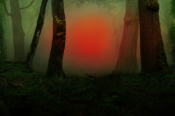 Mysterious sunset in misty forest.  Landscape with magical red purple glow between old trees on misty blurry background during twilight. Mystical fantasy atmosphere