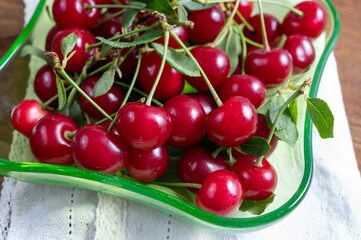 New harvest of red ripe juicy sour cherry or kriek berry