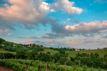 Obraz premium Spring stormy sunset in the vineyards of Collio Friulano, Friuli-Venezia Giulia, Italy