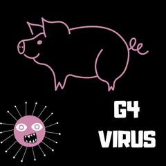 Illustration of New virus called, G4 VIRUS. Another virus from china. Pig virus. Black background.Conceptual