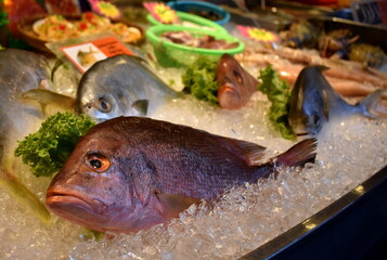 Fresh red snapper on ice at a seafood restaurant