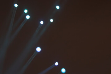 Abstract background. Fantastic fancy plants with colored branches with luminous dots at the ends....