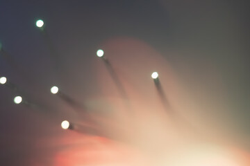 Abstract background. Fantastic fancy plants with colored branches with luminous dots at the ends....