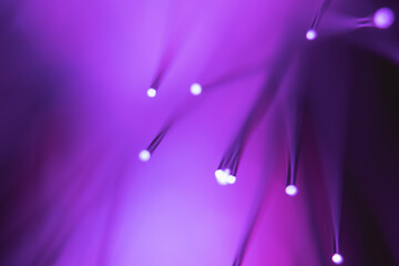 Abstract background. Fantastic fancy plants with colored branches with luminous dots at the ends....