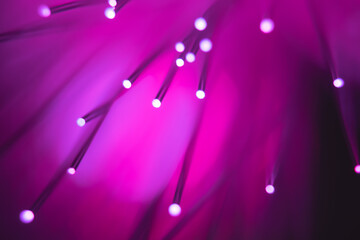 Abstract background. Fantastic fancy plants with colored branches with luminous dots at the ends....