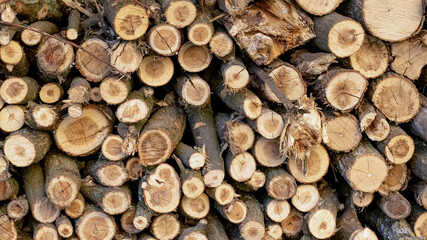 Texture of stacked firewood, harvesting firewood for the winter
