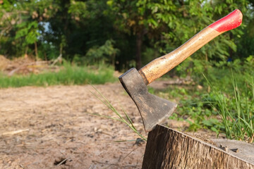Old hatchet or ax on stumps wood close-up.