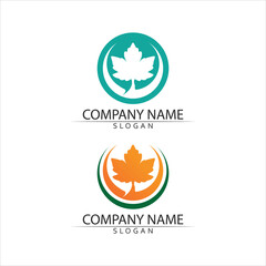 Fototapeta na wymiar Tree leaf vector and green logo design friendly concept