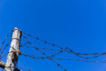 Filo spinato attorcigliato a bastoni di legno usurati su fondo cielo