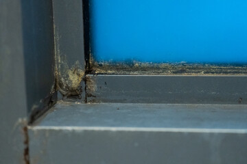 Old plastic window frame in the shower. Moldy angle, fungus. Problem areas shower.