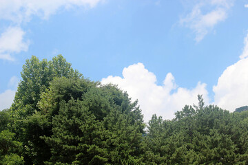 Obraz premium 구름