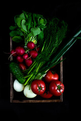 Top view of bunch of colorful vegetables in woodden chest on a black background.Group of fresh tomato, radish, onion, dill, cucumber, black background. Delicious Fresh vegetables from the garden 