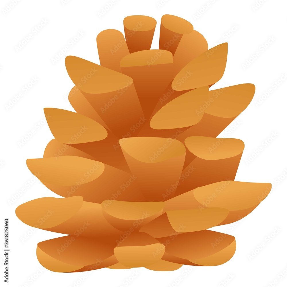 Poster coniferous cone icon. cartoon of coniferous cone vector icon for web design isolated on white backgr