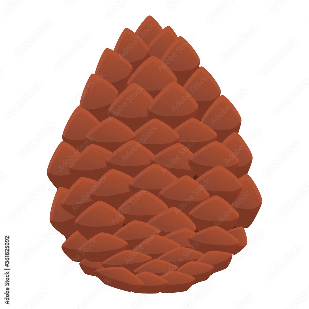 Poster siberian pine cone icon. cartoon of siberian pine cone vector icon for web design isolated on white 