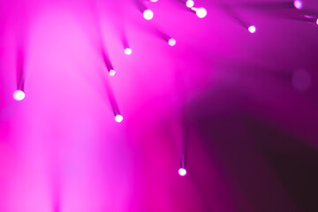 Abstract background. Fantastic fancy plants with colored branches with luminous dots at the ends....
