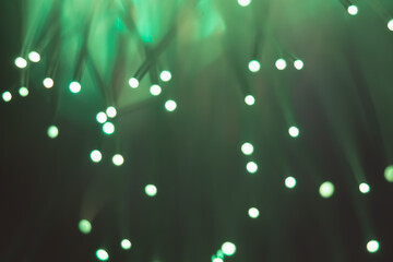 Abstract background. Fantastic fancy plants with colored branches with luminous dots at the ends....