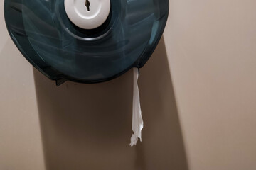 Toilet paper storage in public toilets