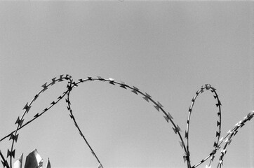 barbed wire fence