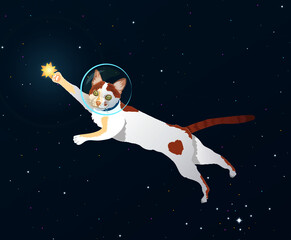 Space cat © OctavioAndres