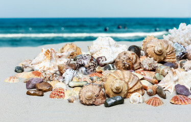 Obraz na płótnie Canvas Seashells, sea stars, coral and stones on the sand, summer beach sea background travel concept.